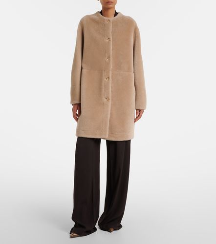 Agnona Manteau en shearling - Agnona - Modalova