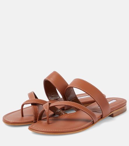 Sandales Susacru en cuir - Manolo Blahnik - Modalova