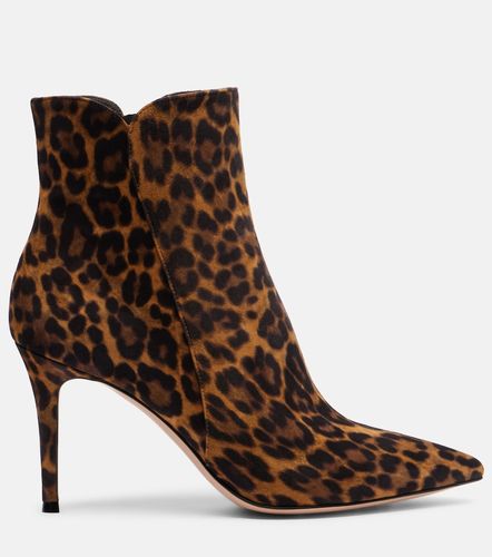 Bottines Levy 85 en daim à motif léopard - Gianvito Rossi - Modalova