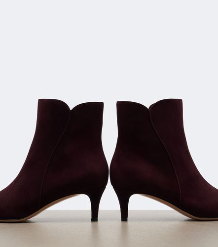 Bottines Levy en daim - Gianvito Rossi - Modalova
