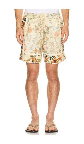 Georgie Shorts in . Size 30. Also in 32, 34, 36, 38 - Agua Bendita - Modalova
