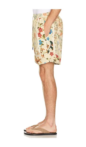 Georgie Shorts in . Size 30. Also in 32, 34, 36, 38 - Agua Bendita - Modalova