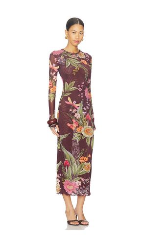 ROBE ROBIN en . Taille M. Also en - Agua Bendita - Modalova