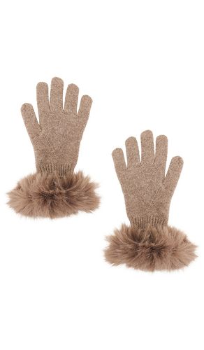 The Cashmere Glove in - Adrienne Landau - Modalova