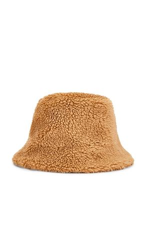Teddy Bucket Hat in - Adrienne Landau - Modalova