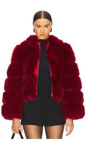 BLOUSON ICON FUR in . Size M - Adrienne Landau - Modalova