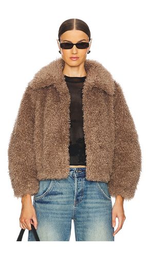 The Teddy Bomber in . Size S - Adrienne Landau - Modalova