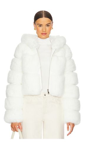 BLOUSON THE LINDA FAUX FUR in . Size M, S - Adrienne Landau - Modalova