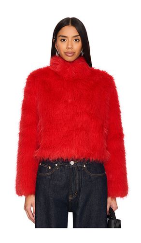 BLOUSON FAUX FOX FUR in . Size M, S - Adrienne Landau - Modalova