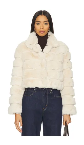 BLOUSON GOLDIE en . Taille L. Also en - Adrienne Landau - Modalova