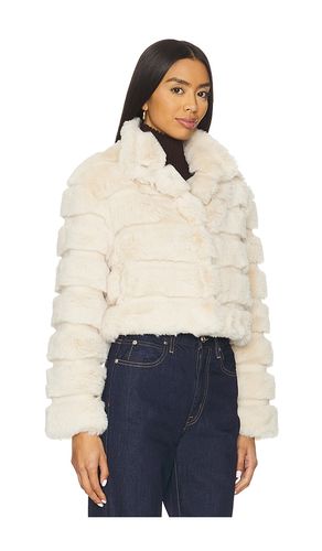 BLOUSON GOLDIE en . Taille S. Also en - Adrienne Landau - Modalova