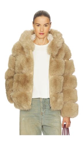 Landau Hoodie in . Size L. Also in M, S - Adrienne Landau - Modalova