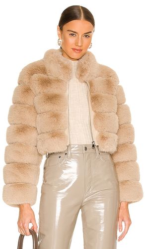 Faux Fox Fur Jacket in . Size M. Also in L, S - Adrienne Landau - Modalova