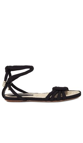 SANDALES VICKY in . Size 39 - Alexandre Birman - Modalova