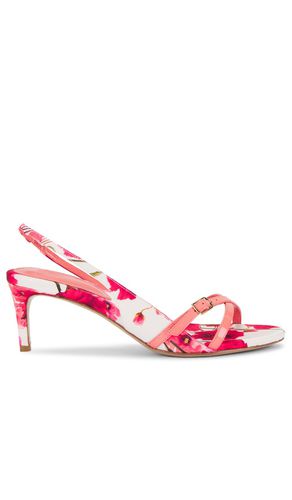 SANDALES MAIA in . Size 36, 38 - Alexandre Birman - Modalova