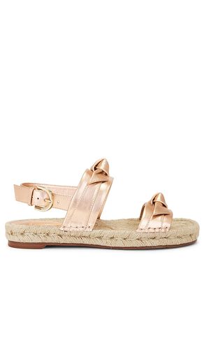 SANDALES CLARITA in . Size 39, 40 - Alexandre Birman - Modalova