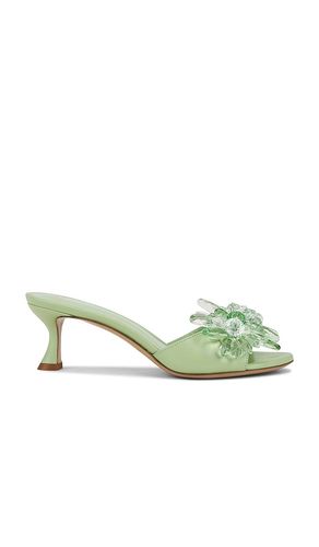 SANDALES SIERRA 60 in . Size 37, 37.5, 38, 38.5, 39, 39.5, 40 - Alexandre Birman - Modalova