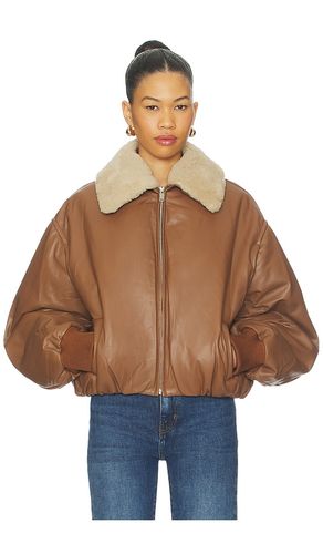 Leather Bomber Jacket in . Size S. Also in XS - AEXAE - Modalova