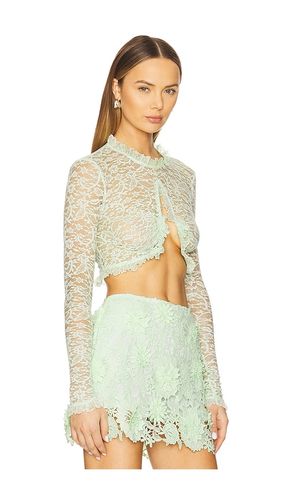 X REVOLVE Dylan Longsleeve Top in . Size L. Also in M, XS - AKNVAS - Modalova