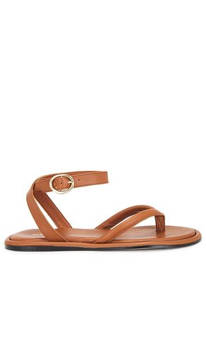 SANDALES SENECA in . Size 36 - ALOHAS - Modalova