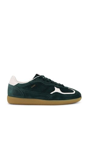 SNEAKERS TB.490 en . Taille 35. Also en - ALOHAS - Modalova