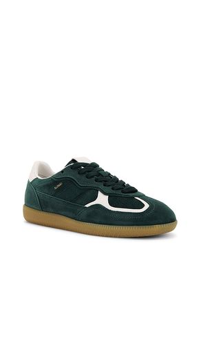 SNEAKERS TB.490 en . Taille 35. Also en - ALOHAS - Modalova