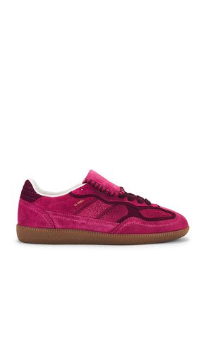 Tb.490 Sneakers in . Size 37, 38, 39 - ALOHAS - Modalova