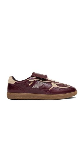 SNEAKERS TB.490 CLUB en . Taille 35. Also en - ALOHAS - Modalova