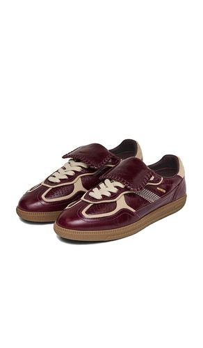 SNEAKERS TB.490 CLUB en . Taille 35. Also en - ALOHAS - Modalova