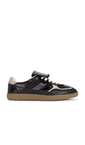 SNEAKERS TB.490 CLUB en . Taille 36. Also en 38, 39, 40 - ALOHAS - Modalova