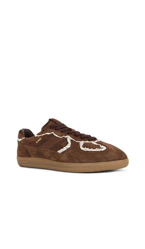 SNEAKERS TB.490 en . Taille 36. Also en 37, 38, 39, 41 - ALOHAS - Modalova