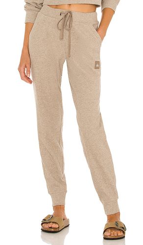 Alo Muse Jogger in Tan. Size M - alo - Modalova