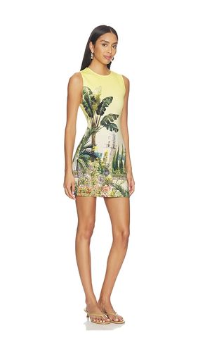 ROBE WYNELL en . Taille 12. Also en 2, 4 - Alice + Olivia - Modalova