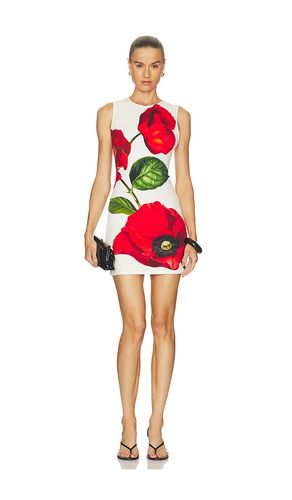 ROBE WYNELL en . Taille 0. Also en 2, 4, 6, 8 - Alice + Olivia - Modalova