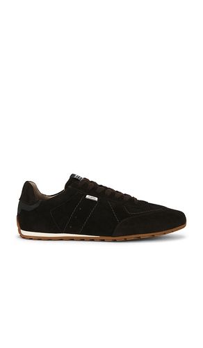 Liam Low Top Sneaker in . Size 10. Also in 11 - ALLSAINTS - Modalova
