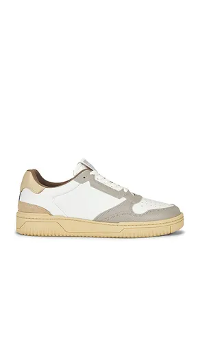 SNEAKERS REGAN en ,. Taille 11. Also en 7 - ALLSAINTS - Modalova