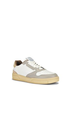 SNEAKERS REGAN en ,. Taille 11. Also en 7 - ALLSAINTS - Modalova