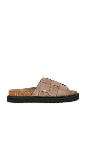 MULES RANDAL en . Taille 10. Also en 11, 8, 9 - ALLSAINTS - Modalova