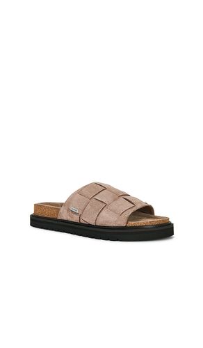 MULES RANDAL en . Taille 10. Also en 11, 8, 9 - ALLSAINTS - Modalova