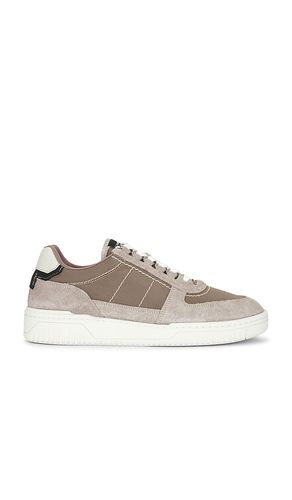 SNEAKERS REGAN en . Taille 10. Also en 11, 12, 13, 8, 9 - ALLSAINTS - Modalova