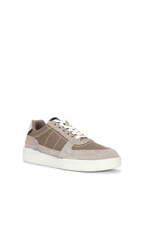 SNEAKERS REGAN en . Taille 10. Also en 11, 12, 13, 8, 9 - ALLSAINTS - Modalova