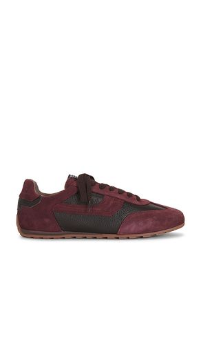 SNEAKERS LIAM en . Taille 10. Also en 11, 12, 13, 8, 9 - ALLSAINTS - Modalova