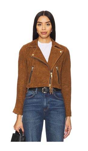 BLOUSON COURT DALBY in . Size 10, 12, 2, 4, 6, 8 - ALLSAINTS - Modalova