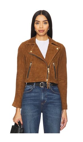 BLOUSON COURT DALBY in . Size 12, 4, 6 - ALLSAINTS - Modalova