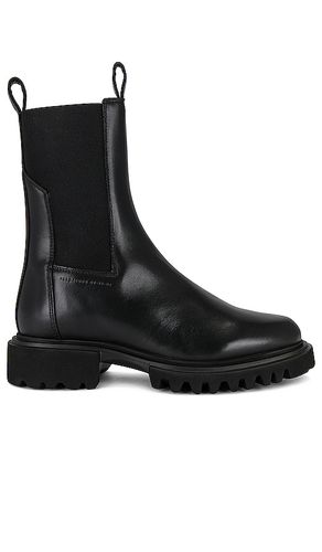 BOTTINES HALLIE in . Size 37, 38, 40, Eur 36/ US 6, Eur 37.5/ US 7.5, Eur 37/ US 7, Eur 38/ US 8 - ALLSAINTS - Modalova