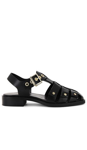 SANDALES NELLY STUD in . Size 36, 38, 40 - ALLSAINTS - Modalova