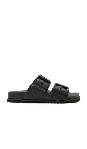 SANDALES SIAN in . Size 37, 37.5, 38, 38.5, 39, 39.5, 40, 41 - ALLSAINTS - Modalova