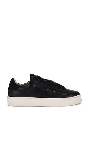 SNEAKERS SHANA in . Size 36, 38, 39, 40, 41 - ALLSAINTS - Modalova