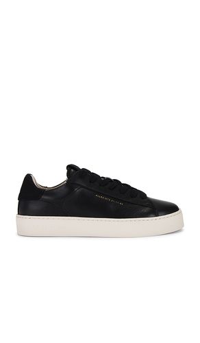 SNEAKERS SHANA in . Size 40 - ALLSAINTS - Modalova