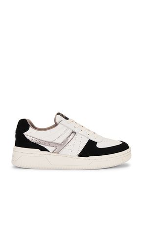 SNEAKERS VALENTINA in . Size 36, 37, 38, 39, 40, 41 - ALLSAINTS - Modalova